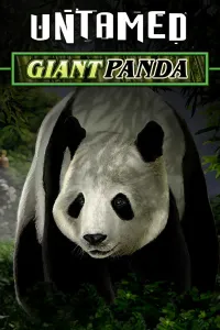 Untamed Giant Panda